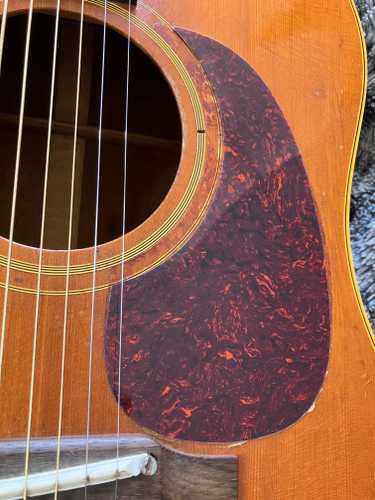 ギター Gibson J50 1969s 1969 Gibson J-50 Natural – Music City Vintage Guitars