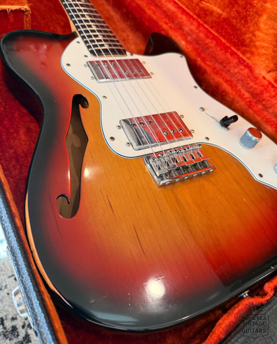 1974 Fender Telecaster Thinline | Rosewood Neck Sunburst | Ex-Tom