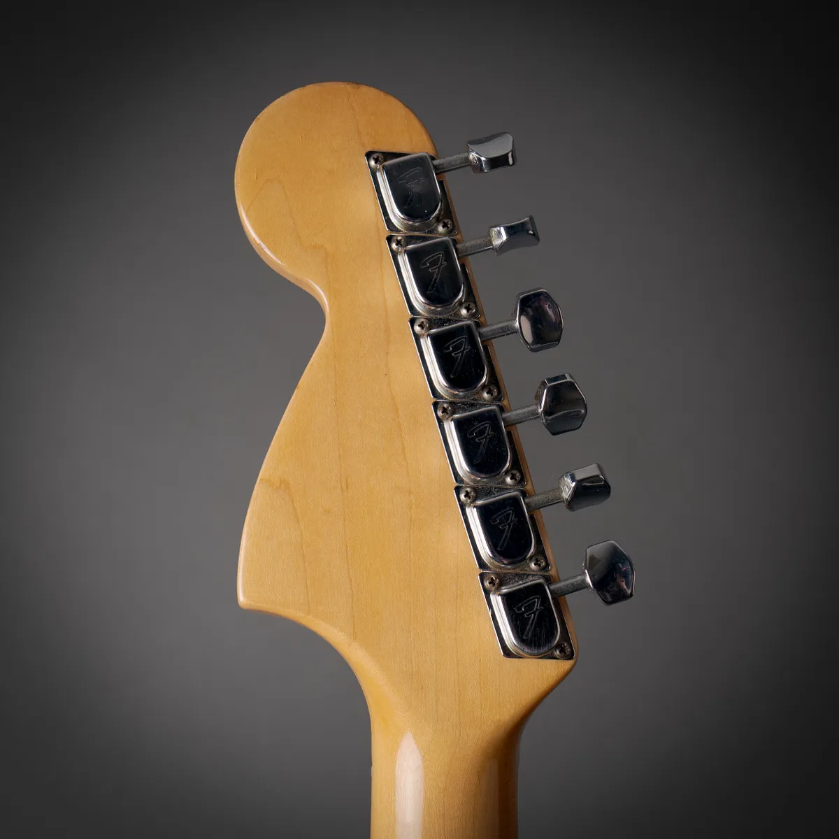 1979 Fender Stratocaster Hardtail Natural - Gbase