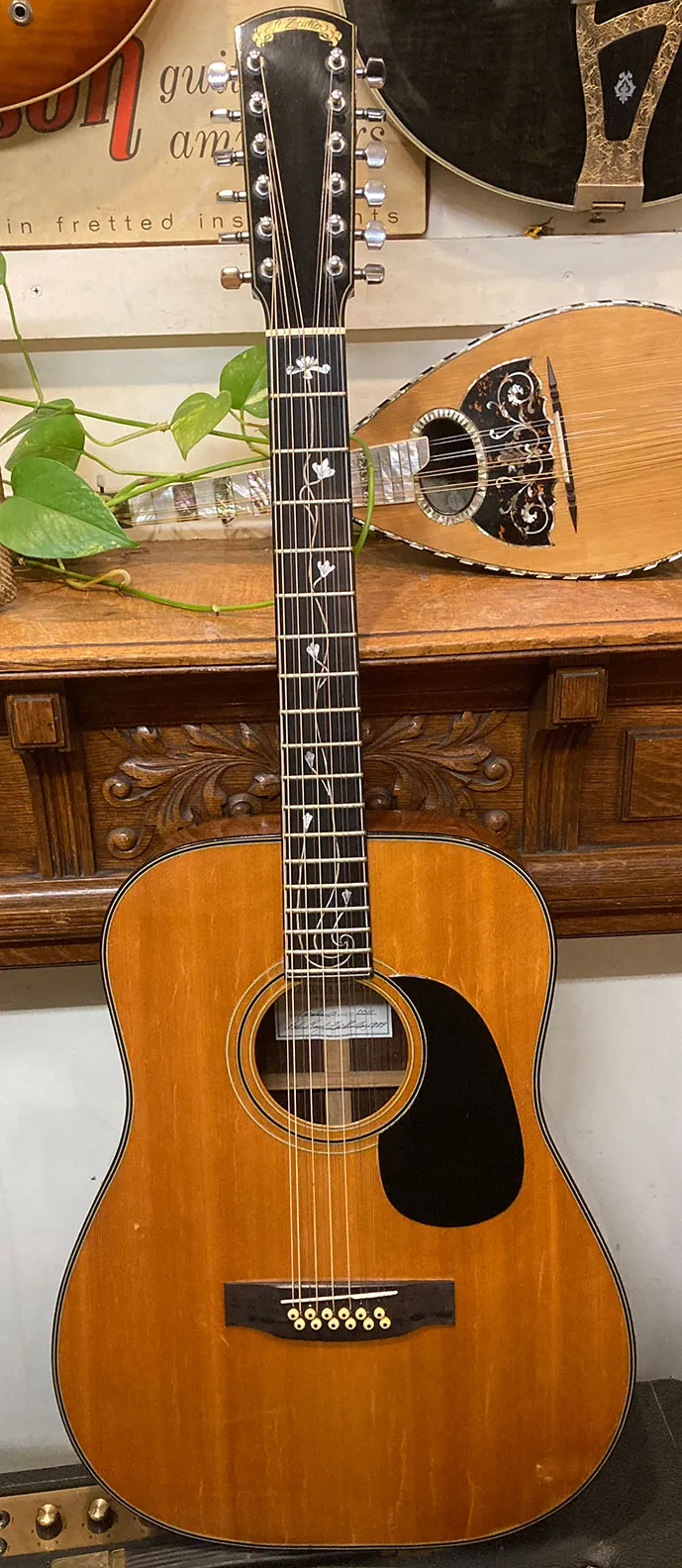 1979 ZEIDLER Excaliber 12-string > Guitars 12 String Electric