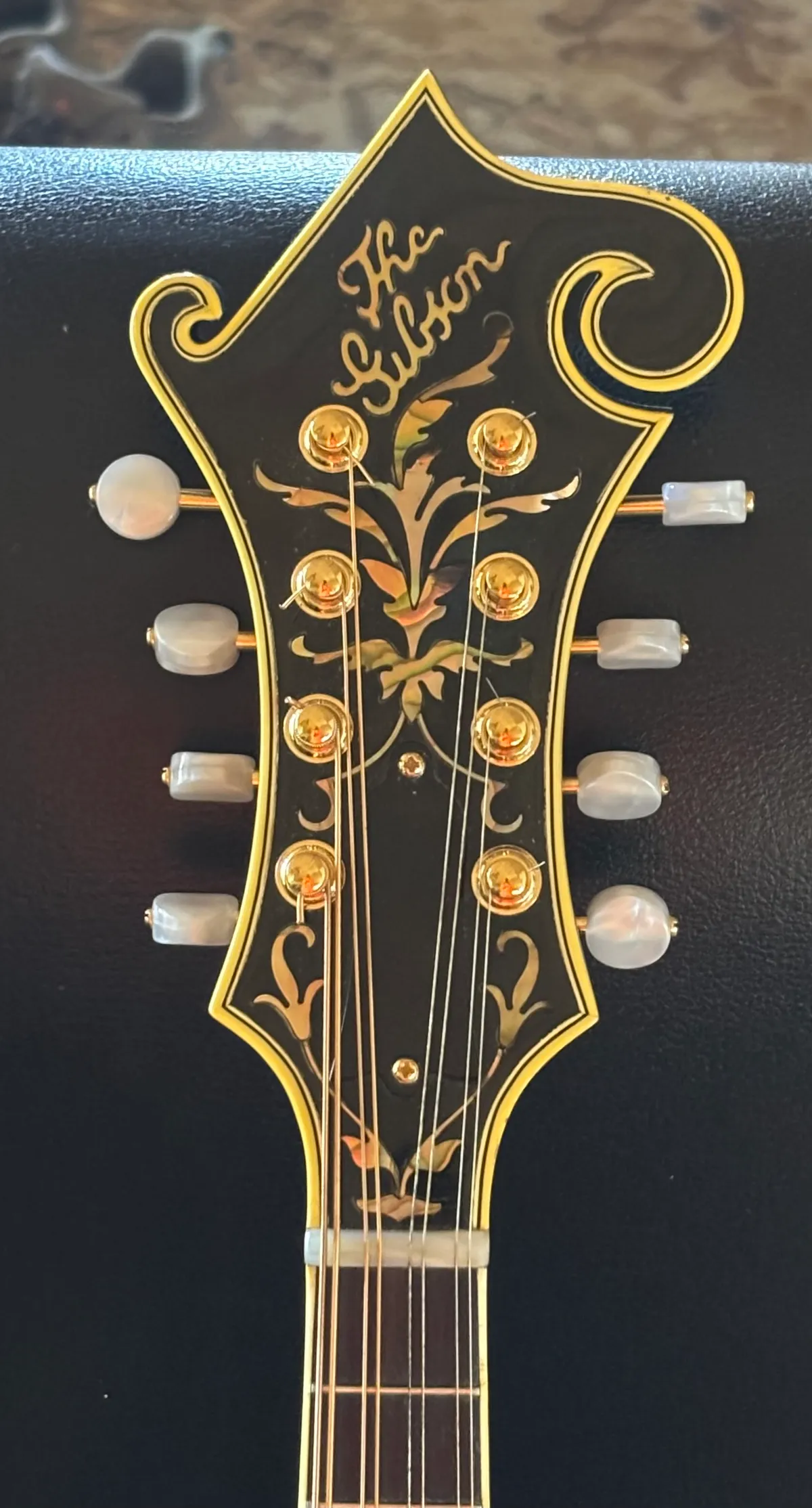 1980 Gibson F5-L 
