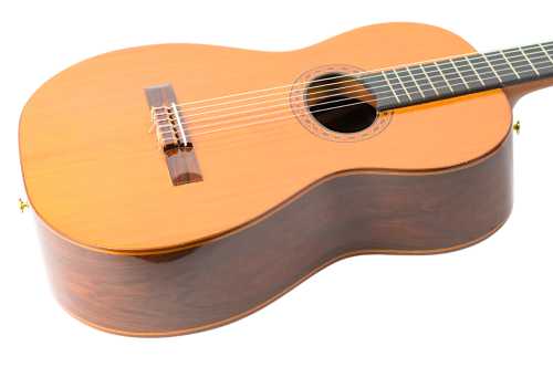 Di Giorgio Tarrega ボサノバギター　1993年製 Di Giorgio Tárrega - What To Know & Where To Buy | Equipboard