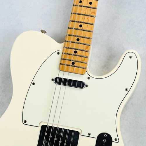 Fender Standard Telecaster Maple Fingerboard MIM 2012 - Arctic