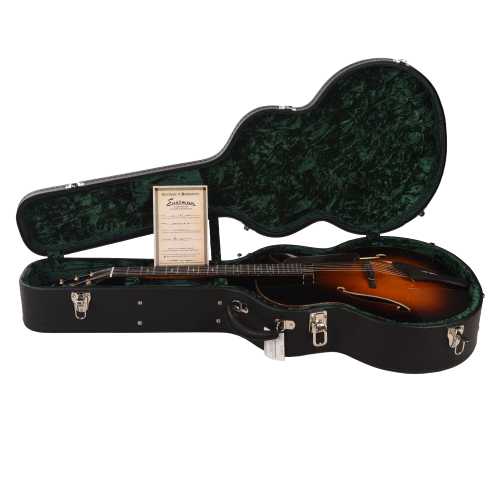 Eastman AR910CE 17