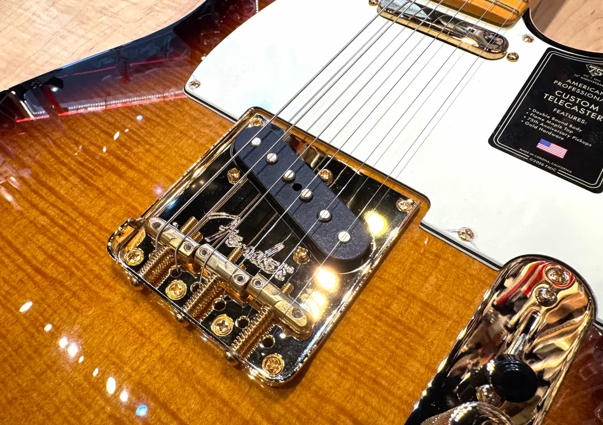 Fender American Professional Custom Telecaster Sunburst - Gbase