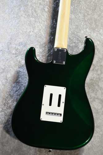 Fujigen/FGN NST110RAL-CAG Candy Apple Green 3.48kg #E250050［Made