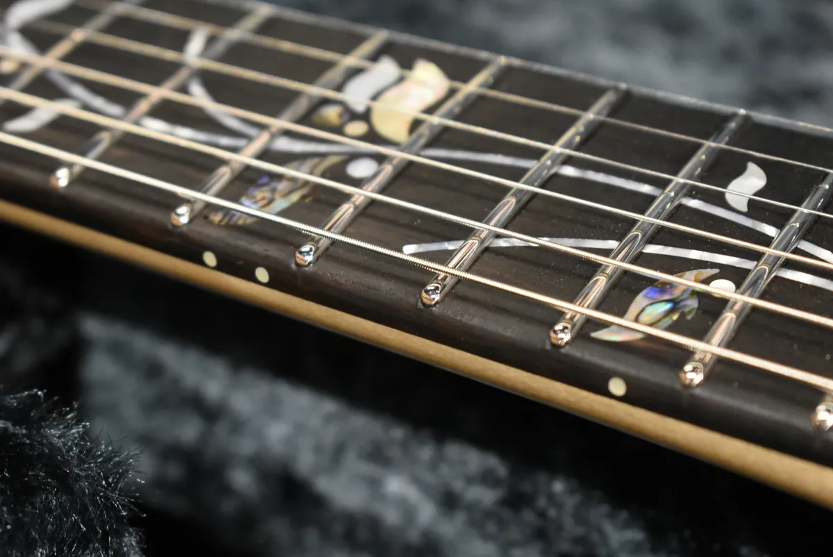 Ibanez Japan Custom Shop VISIONS IV2RG 3.86kg #L25302 - Gbase