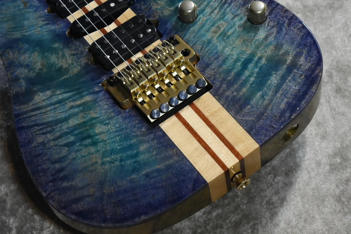 Ibanez Japan Custom Shop VISIONS IV2RG 3.86kg #L25302 - Gbase