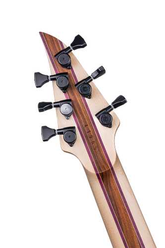 Skervesen Raptor 6 - Gbase