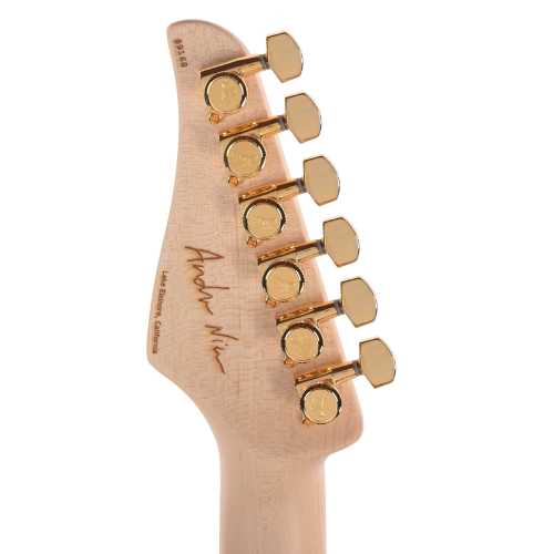 Suhr Andre Nieri Signature Series Classic T Nieri Burst w/Figured